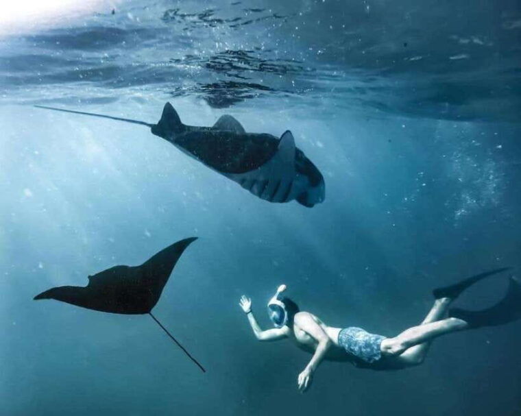 bali-southeast-nusa-penida-full-day-trip-with-snorkeling