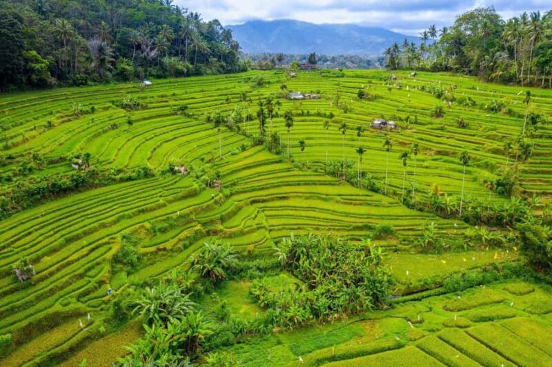 Bali: Spirit of Tabanan Motorcycle Tour - Key Points
