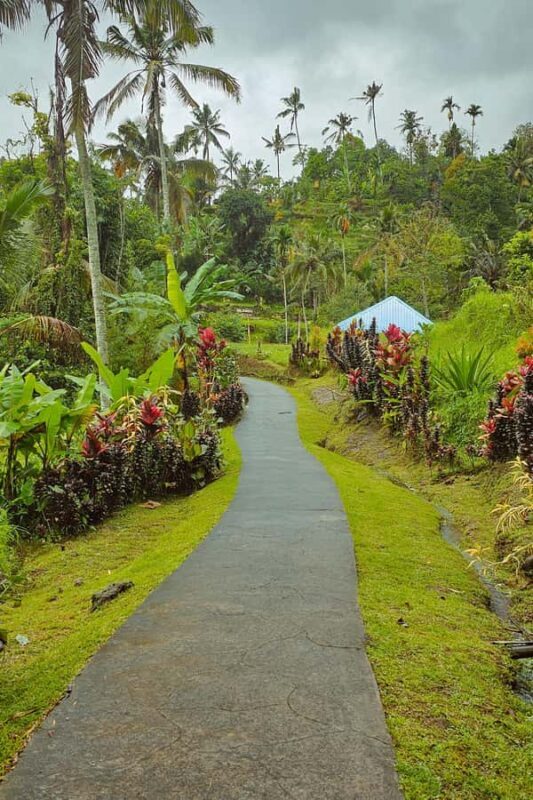 Bali: Spirit of Tabanan Motorcycle Tour - An Honest Breakdown of the Bali Spirit of Tabanan Motorcycle Tour