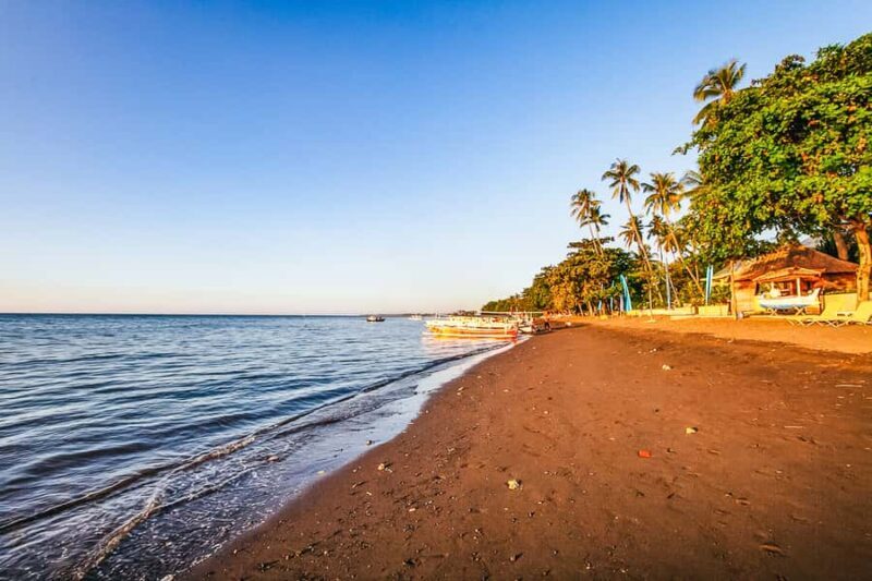 Bali: Sunrise Dolphin Snorkel, Waterfall & UNESCO Temple - The Sum Up