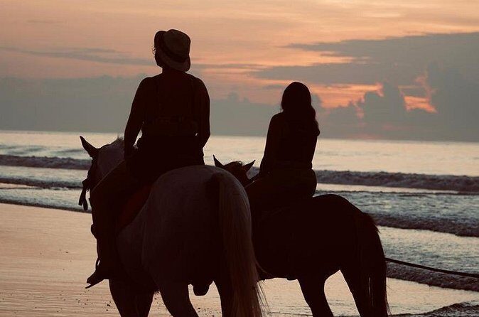 Bali Sunrise Horse Riding Experience Include Transfer - Limitations & Considerations