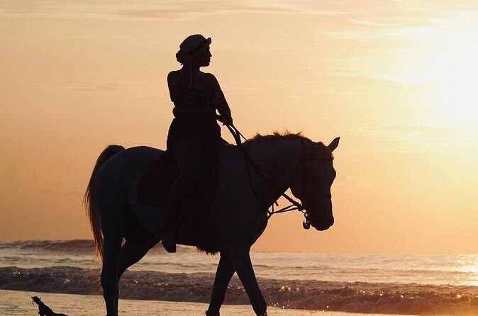 Bali Sunrise Horse Riding Experience Include Transfer - Final Thoughts: Is It Worth It?