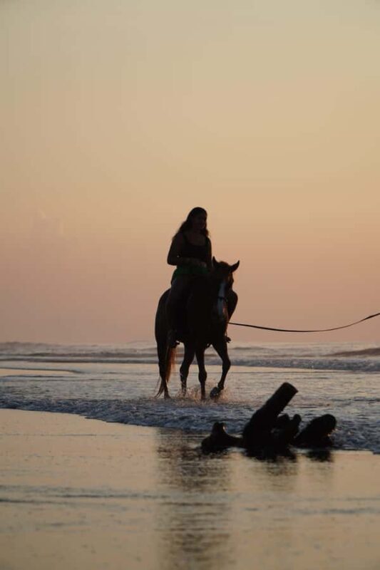 Bali: Sunrise Horse Riding Sanur Beach Experience - Authentic Experiences from Guest Feedback