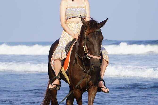 Bali Sunrise Horse Riding Sanur Beach Tour Include Transport - Authentic Insights from Reviewers
