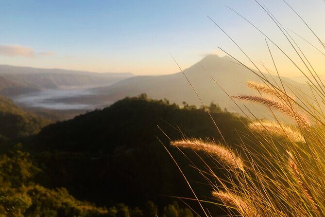 Bali Sunrise, Tirta Empul Temple and Tegalalang Rice Terrace - An In-Depth Look at the Itinerary