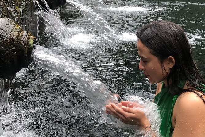 Bali Sunrise, Tirta Empul Temple and Tegalalang Rice Terrace - The Sum Up