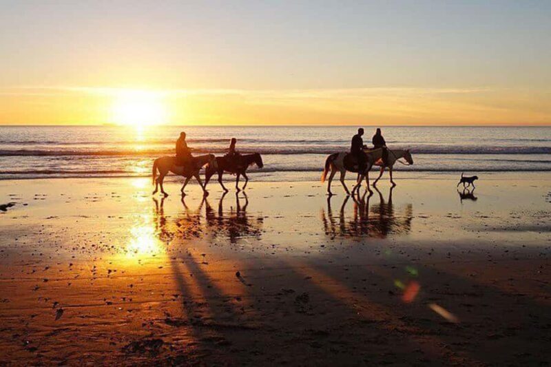 Bali Sunset Horse Ride by the Kedungu Beach - Key Points