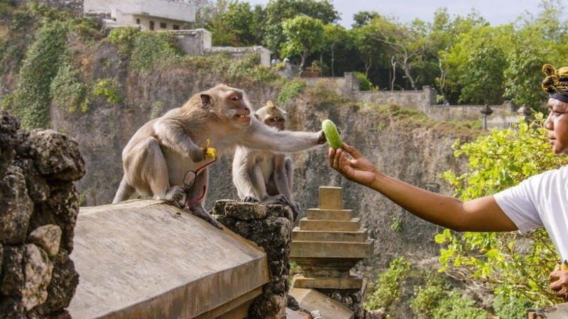 bali-sunset-uluwatu-temple-kecak-fire-dance-private-tour