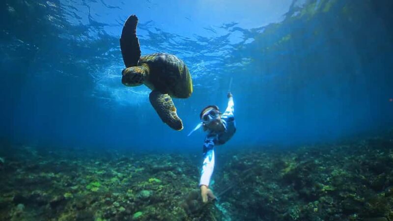 Bali: Swim with Manta Rays in Penida, Optional Lunch & Kayak - Value for Money