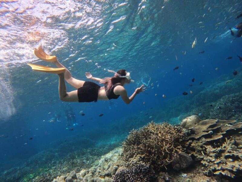 Bali: Swim with Manta Rays in Penida, Optional Lunch & Kayak - Who Is This Tour Best For?