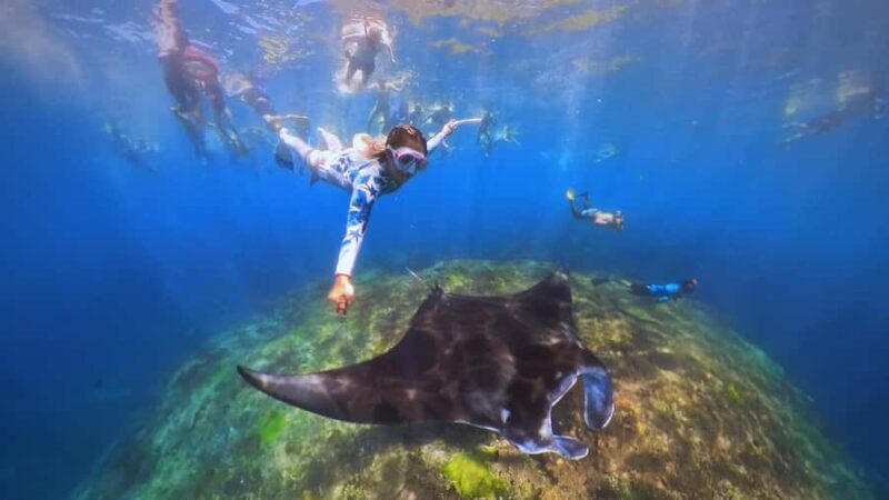Bali: Swim with Manta Rays in Penida, Optional Lunch & Kayak - FAQ