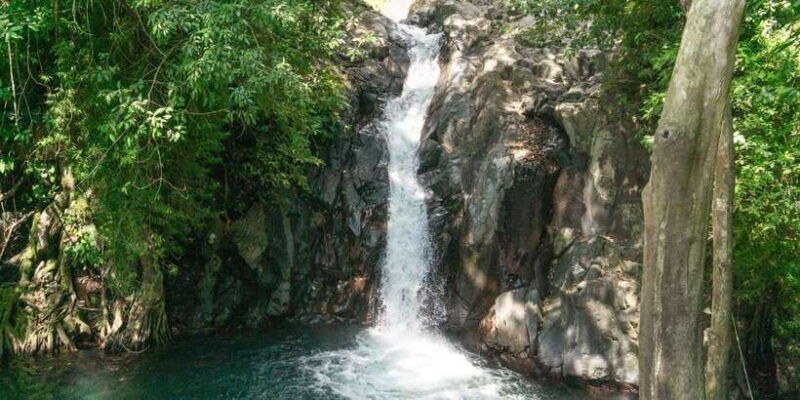bali-swimming-with-dolphin-waterfal-tour-all-inclusive