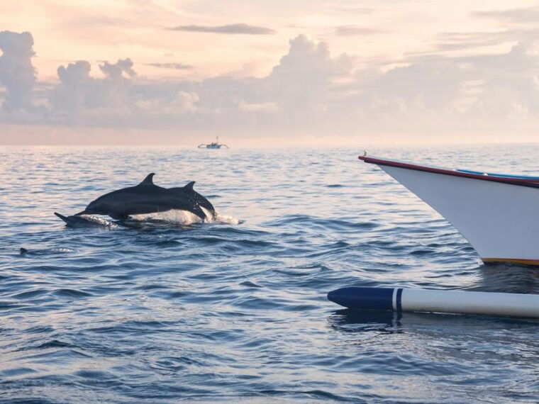 bali-swimming-with-dolphin-waterfal-tour-all-inclusive