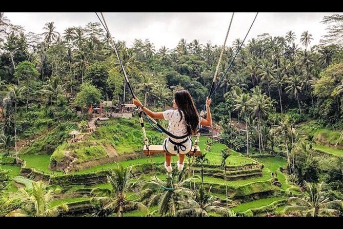 Bali: Swing And Ubud Tour - Key Points
