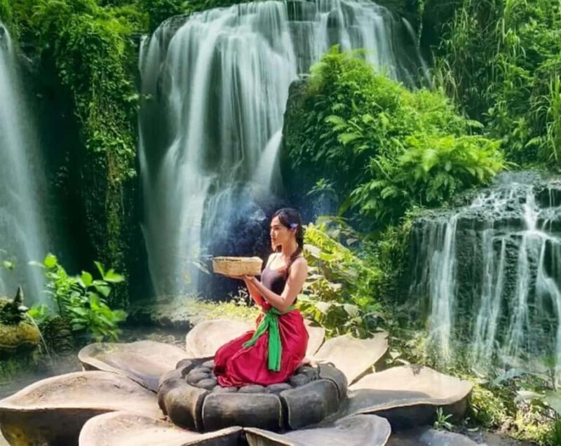 Bali: Swing Heaven and Griya Beji Water Purification Entry - Key Points