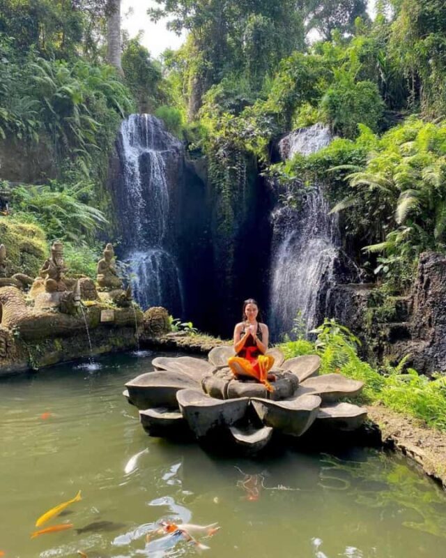 Bali: Swing Heaven and Griya Beji Water Purification Entry - Final Words