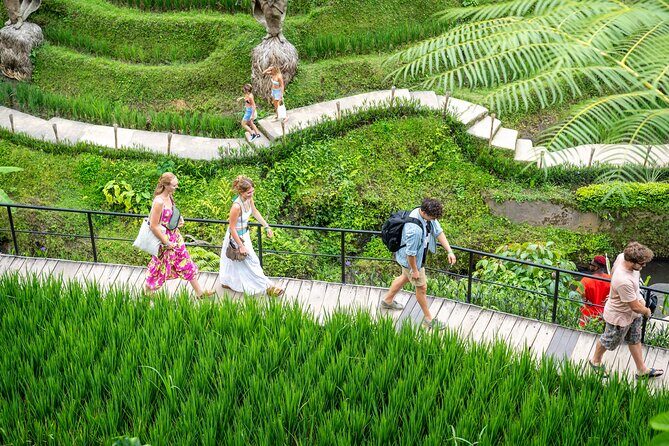 Bali: Swing Heaven, Monkey Forest and Waterfall Guided Tour - Who Should Consider This Tour?