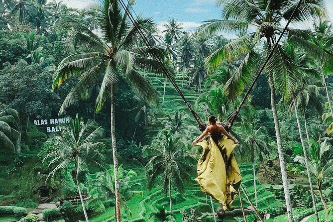 Bali Swing, Monkey Forest and Waterfall - Private Tour - Experiencing Ubud’s Best: Bali Swing, Monkey Forest, and Waterfall Tour Review