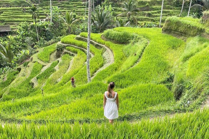 Bali Swing, Monkey Forest and Waterfalls Tour - Exploring the Bali Swing