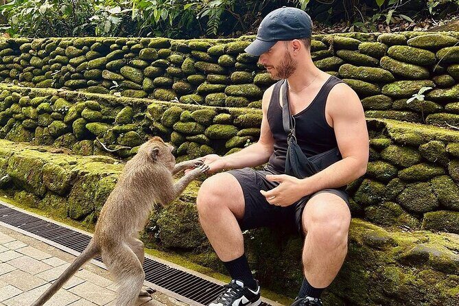 Bali Swing, Monkey Forest and Waterfalls Tour - Tegalalang Rice Terrace and Balinese Culture