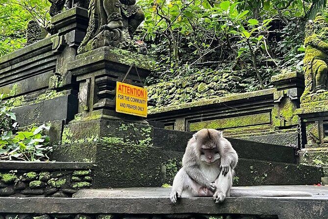 Bali Swing, Monkey Forest and Waterfalls Tour - Kanto Lampo Waterfall: Bali’s Instagram Favorite