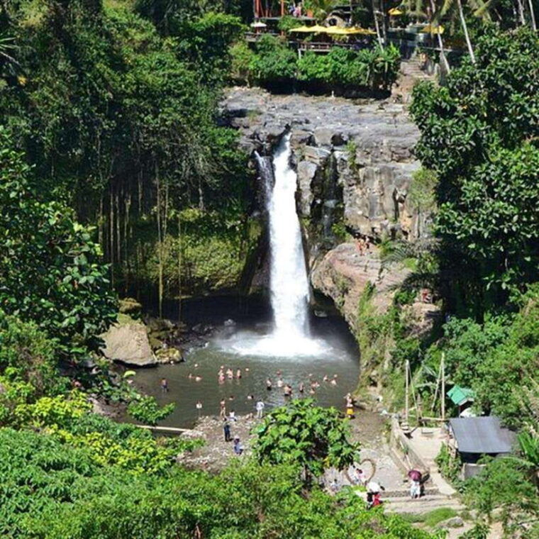 bali-swing-waterfall-and-temple-tour-with-hotel-pickup