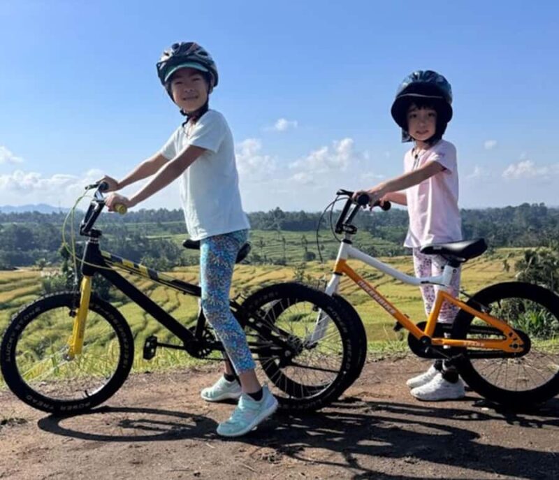Bali: Tabanan Rice Terraces E-Bike Tour with Breakfast - Key Points