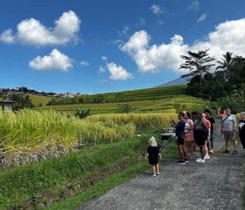 Bali: Tabanan Rice Terraces E-Bike Tour with Breakfast - Frequently Asked Questions (FAQs)