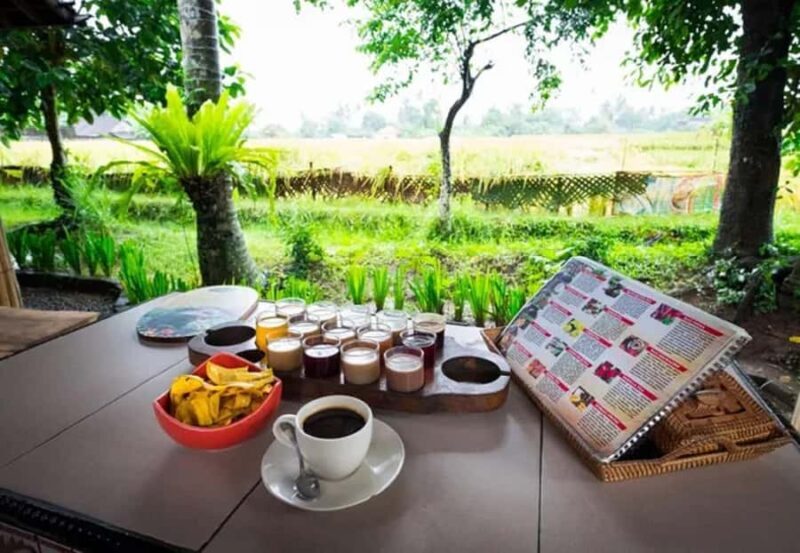 Bali: Taman Ayun, Jatiluwih, Ulun Danu, and Monkey Forest - Introduction