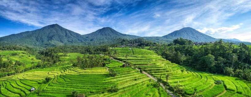 Bali: Taman Ayun, Jatiluwih, Ulun Danu, and Monkey Forest - Authentic Experiences and Hidden Gems