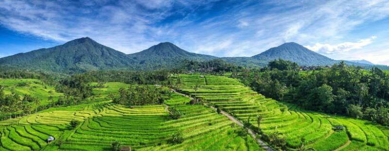 bali-taman-ayun-jatiluwih-ulun-danu-and-tanah-lot-tour