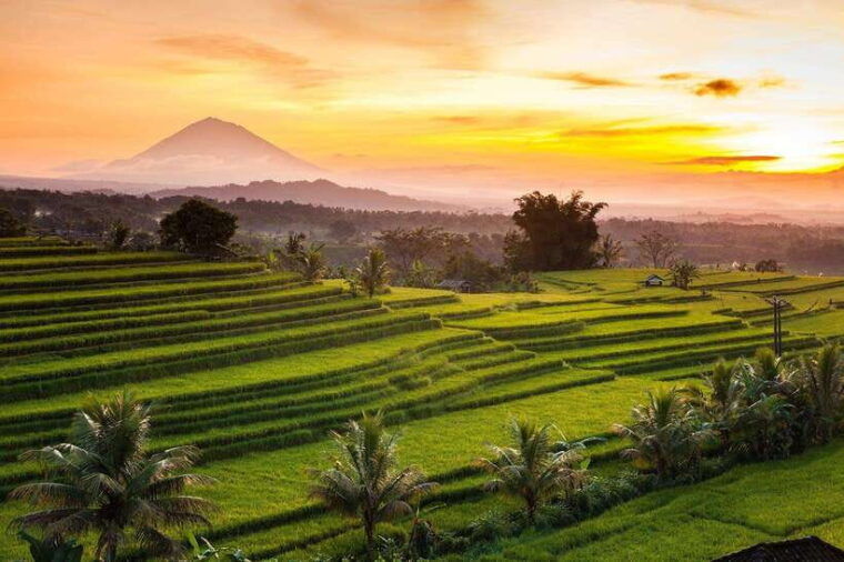 bali-taman-ayun-jatiluwih-ulun-danu-and-tanah-lot-tour