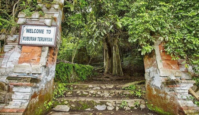 bali-taman-beji-griya-waterfall-and-ubud-monkey-forest-tour