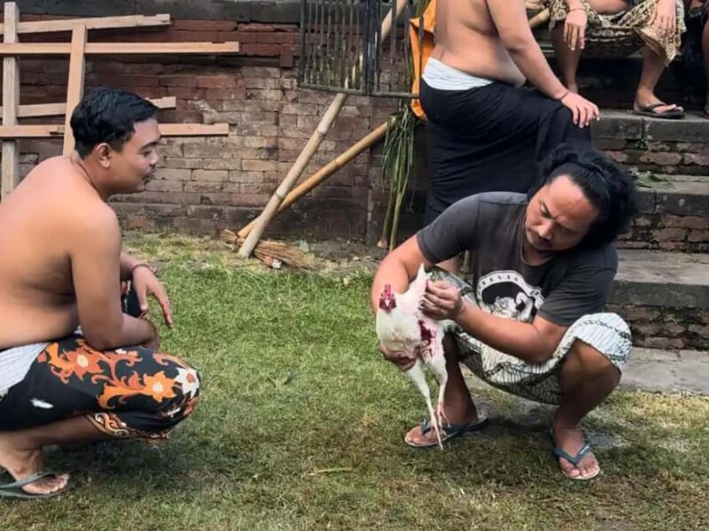 Bali: Taman Ujung Culture Tour with Tirta Gangga & Tenganan - Practical Details and What to Know Before Booking