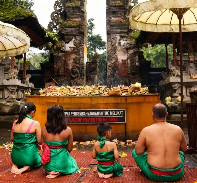 Bali: Tampaksiring, Pura Penataran Sasih & Waterfall Tour - Key Points