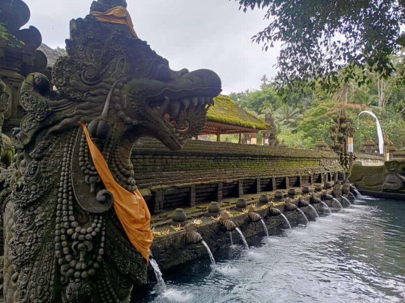 Bali: Tampaksiring Temples and Coffee Plantation Tour - The Value of This Tour