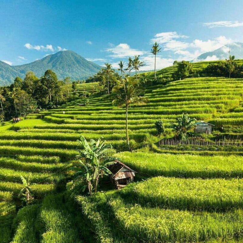 bali-tanah-lot-nung-nung-waterfall-jatiluwih-and-bedugul