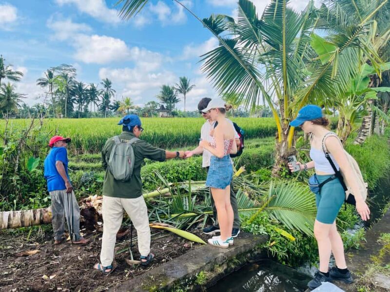 Bali: Taro Village Trek with Rice Terraces and Vegan Feast - Who Will Love This Tour?