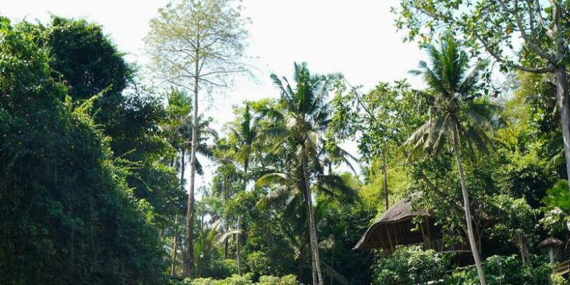 bali-tegenungan-kanto-lampo-and-tibumana-waterfall-tour