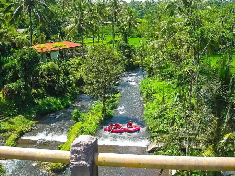 bali-telaga-waja-white-water-river-guided-rafting-lunch