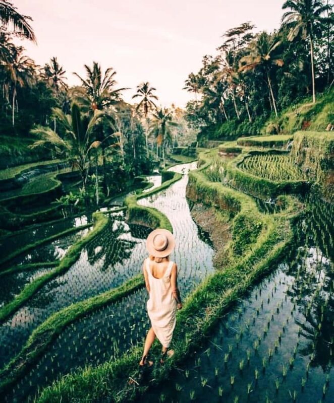 Bali: Temple, Waterfall, and Rice Terrace Private Tour - Discovering Bali’s Sacred Heart: Tirta Empul Temple