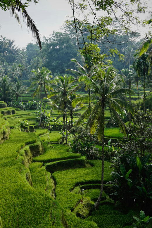 bali-temples-waterfalls-rice-terraces-private-tour
