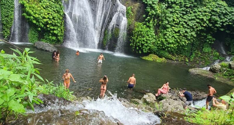 Bali: The Icons Highlands, Heritage & Horizons - Price and Value