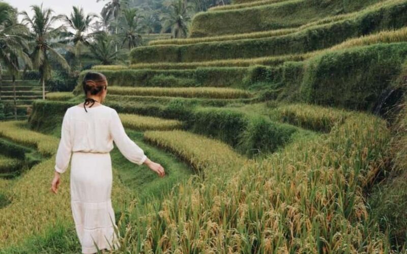 Bali: The Icons Highlands, Heritage & Horizons - Practical Tips for Travelers