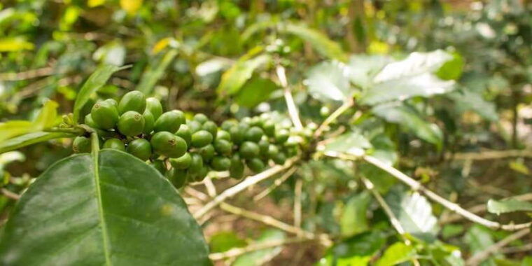 bali-the-most-iconic-temple-of-ulun-danu-beratan