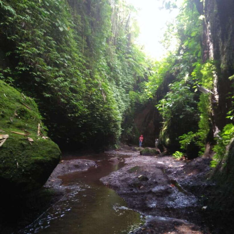 bali-tibumana-tukad-cepung-kanto-lampo-tegenungan-tour