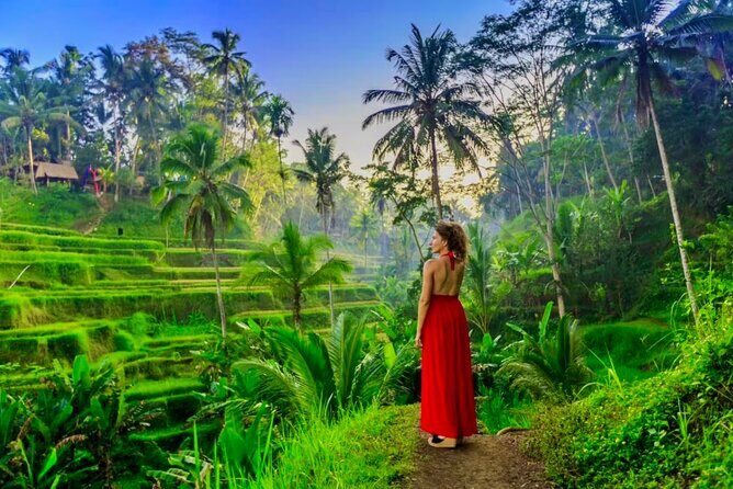 Bali Top Attractions Tour All-Inclusive Private Experience - Introduction to the Private Bali Experience