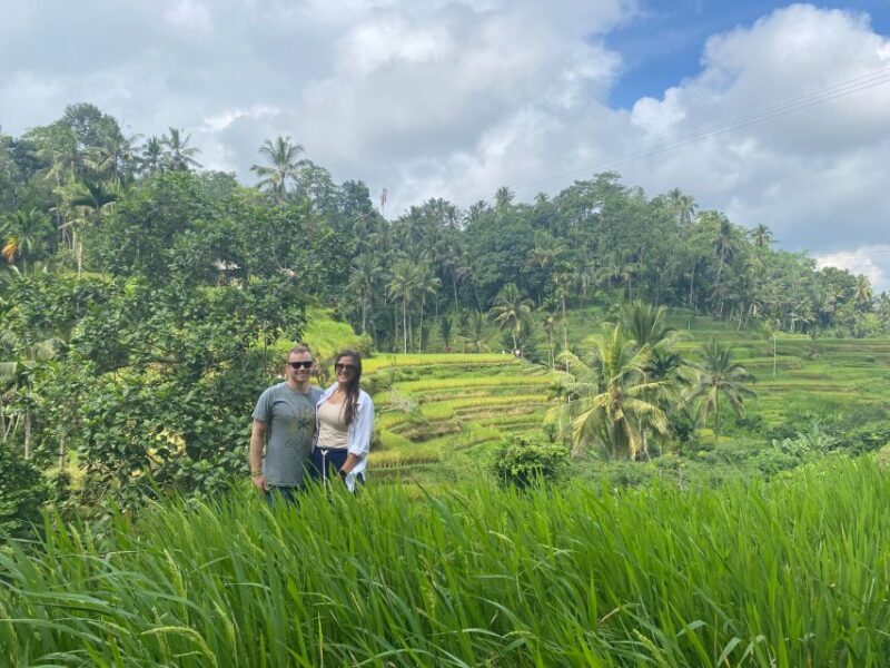 Bali : Top's 3 Waterfalls . Temple And Rice Terrace - Real Traveler Insights and Tips