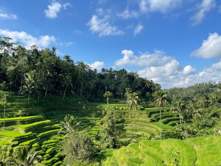 bali-tops-3-waterfalls-temple-and-rice-terrace