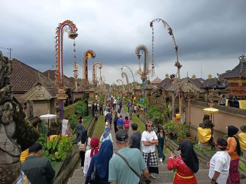 Bali: Tradisional Village, Bamboo Forest & Temple Tour - Key Points